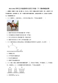 2023-2024学年辽宁省沈阳市大东区八年级（下）期末物理试卷
