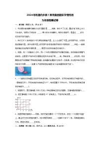 河南省南阳市内乡县第一教育集团联考2024-2025学年九年级上学期1月期末物理试题