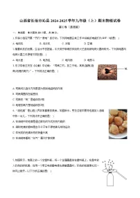 山西省长治市沁县2024-2025学年九年级（上）期末物理试卷（解析版）