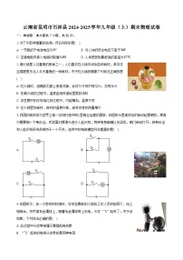 云南省昆明市石林县2024-2025学年九年级（上）期末物理试卷