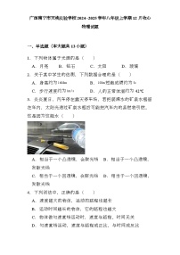 广西南宁市天桃实验学校2024−2025学年八年级上学期12月收心 物理试题（含解析）
