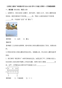 江西省上饶市广丰实验中学2024-2025学年八年级上学期十一月 物理检测卷（含解析）