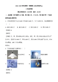 陕西省榆林市2024-2025学年八年级上学期12月月考 物理试题（含解析）
