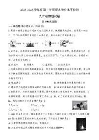 陕西省汉中市宁强县2024-2025学年九年级上学期1月期末物理试题