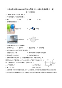 上海市松江区2024-2025学年九年级（上）期末物理试卷（一模）（含解析）