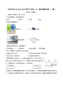 上海市松江区2024-2025学年九年级（上）期末物理试卷（一模）（含解析）
