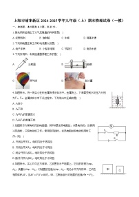 上海市浦东新区2024-2025学年九年级（上）期末物理试卷（一模）（含解析）