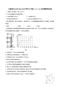 云南省文山州 2024-2025学年八年级（上）12月检测物理试卷（含解析）