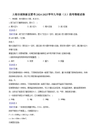 上海市浦东新区联考2024-2025学年九年级（上）段考物理试卷（含解析）