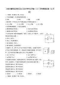 上海市普陀区多校2024-2025学年九年级（上）月考物理试卷（12月份）