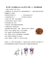 四川省广元市苍溪县2023-2024学年九年级(上)期末物理试卷(含解析)