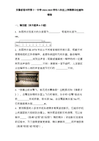 安徽省宿州市第十一中学2024-2025学年八年级上学期期末检测 物理卷（含解析）