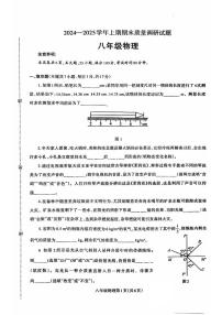 河南济源人教版2024年—2025年初中物理八年级上学期期末物理试卷