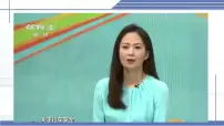 北师大版（2024）八年级上册（2024）第五章 透镜及其应用第一节 透镜授课课件ppt