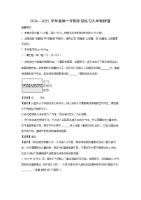 2024~2025学年安徽省黄山市歙县九年级上学期11月期中 物理试卷(解析版)