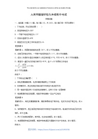 2024~2025学年黑龙江省大庆市九年级上学期11月期中物理试卷（解析版）