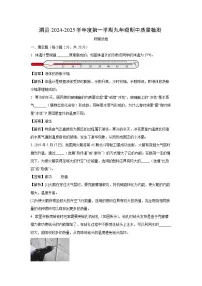 2024~2025学年安徽省宿州市泗县九年级上学期期中考试物理试卷（解析版）