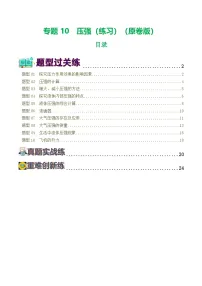 中考物理一轮复习讲练测专题10 压强（8题型）（练习）（2份，原卷版+解析版）