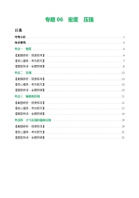中考物理第二轮复习专题06 密度 压强（讲练）【解析版】