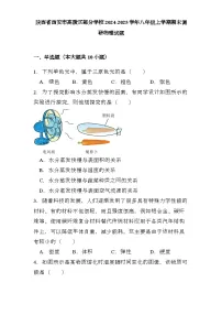 陕西省西安市高陵区部分学校2024-2025学年八年级上学期期末调研 物理试题