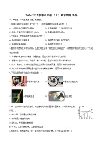 辽宁省大连市2024-2025学年八年级（上）期末物理试卷