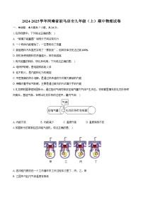 2024-2025学年河南省驻马店市九年级（上）期中物理试卷（含解析）