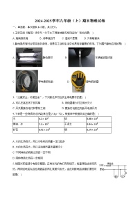 辽宁省大连市金普新区2024-2025学年九年级（上）期末物理试卷