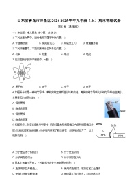 山东省青岛市即墨区2024-2025学年九年级（上）期末物理试卷