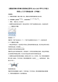 2024-2025学年安徽省淮南市淮南市西部地区联考九年级上学期12月月考物理试卷（解析版）