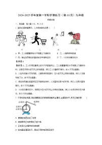 2024-2025学年广东省茂名市高州市九年级上学期11月期中物理试卷（解析版）