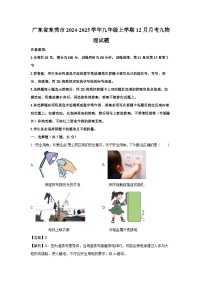 2024-2025学年广东省东莞市九年级上学期12月月考物理试卷（解析版）