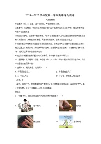 2024-2025学年广东省河源市紫金县九年级上学期11月期中物理试卷（解析版）