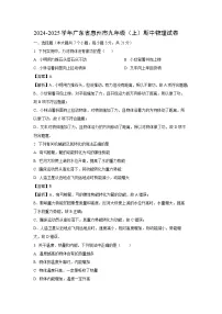 2024-2025学年广东省惠州市九年级上学期期中考试物理试卷（解析版）