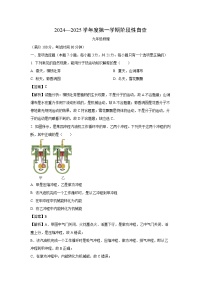 2024-2025学年广东省江门市鹤山市九年级上学期期中考试物理试卷（解析版）