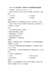 2024-2025学年广东省揭阳市榕城区九年级上学期11月期中物理试卷（解析版）