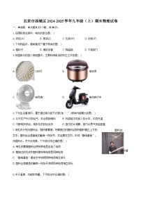 北京市西城区2024-2025学年九年级（上）期末物理试卷