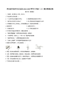 河北省石家庄市正定县2024-2025学年八年级（上）期末物理试卷-