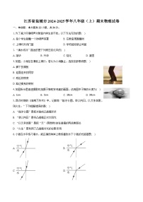 江苏省盐城市2024-2025学年八年级（上）期末物理试卷
