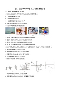 山东省潍坊市诸城市2024-2025学年八年级（上）期末物理试卷