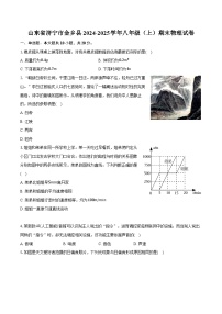 山东省济宁市金乡县2024-2025学年八年级（上）期末物理试卷