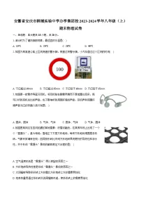 安徽省安庆市桐城实验中学办学集团校2023-2024学年八年级（上）期末物理试卷