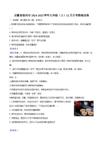 安徽省宿州市2024-2025学年九年级（上）12月月考物理试卷