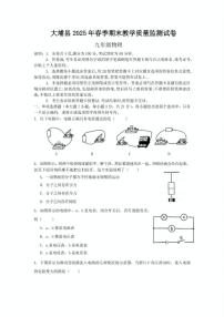 广东省梅州市大埔县2024-2025学年九年级上学期1月期末物理试题