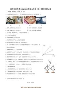 2024～2025学年重庆市奉节县九年级(上)期末物理试卷(含答案)