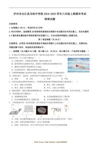 2024～2025学年四川省泸州市合江县马街中学校八年级上1月期末考试物理试卷(含答案)