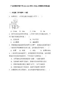 广东省揭阳市普宁市2024-2025学年八年级上学期期末 物理试题（含解析）