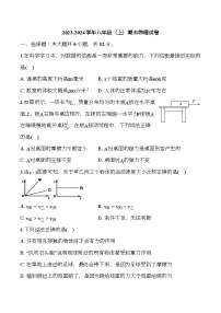河南省南阳市新野县中学校2023-2024学年八年级（上）期末 物理试卷（含解析）