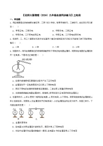 初中物理北师大版（2024）九年级全册三 电荷优秀课后测评