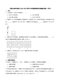 【满分备考攻略】2024-2025学年中考物理高频考点精练专题11浮力