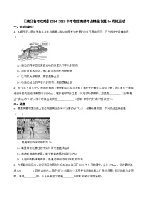 【满分备考攻略】2024-2025中考物理高频考点精练专题06机械运动